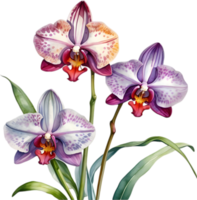 ai generiert Aquarell Gemälde von Leopard Orchidee Blume. png