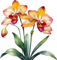 ai generiert Aquarell Gemälde von Leopard Orchidee Blume. png