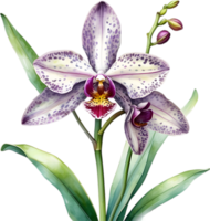 ai generiert Aquarell Gemälde von Leopard Orchidee Blume. png