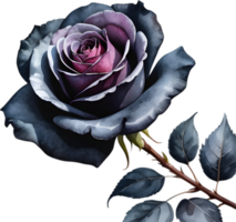 AI generated Watercolor painting of Rose. png