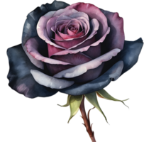 AI generated Watercolor painting of Rose. png