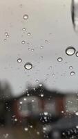 lento movimento tiro do chuva queda para dentro uma poça. video