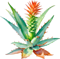 AI generated Watercolor painting of Aloe Vera flower. png