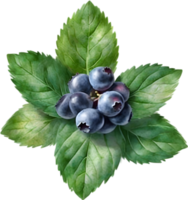 AI generated Watercolor painting of Blueberry. png