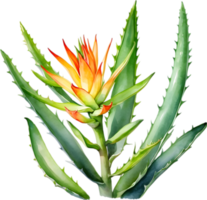 AI generated Watercolor painting of Aloe Vera flower. png