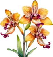 ai generiert Aquarell Gemälde von Leopard Orchidee Blume. png