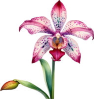 ai generado acuarela pintura de leopardo orquídea flor. png