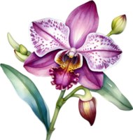 ai generiert Aquarell Gemälde von Leopard Orchidee Blume. png