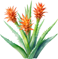 AI generated Watercolor painting of Aloe Vera flower. png