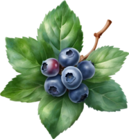 AI generated Watercolor painting of Blueberry. png