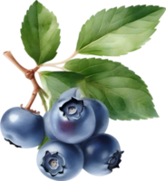 AI generated Watercolor painting of Blueberry. png