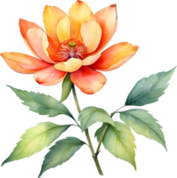 AI generated Watercolor flower with leaves painting. png