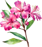 AI generated Watercolor painting Pride of India flower. png