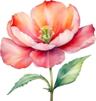 AI generated Watercolor flower with leaves painting. png