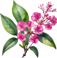 AI generated Watercolor painting Pride of India flower. png