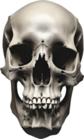 AI generated Silhouetted skull clipart. png