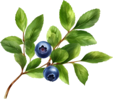 ai genererad vattenfärg målning av blåbär. png