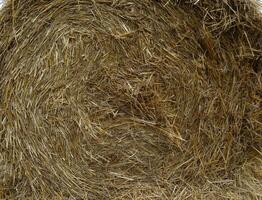 Pattern Of Dry Hay In A Stack Closeup photo