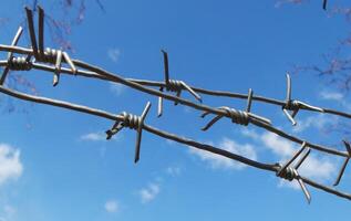 Stretched Barbed Wire Over Blue Sky Detailed Photo