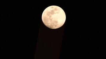 Mondzeitraffer, Zeitraffer auf Lager - Vollmondaufgang im dunklen Naturhimmel, Nachtzeit. Vollmondscheiben-Zeitraffer mit Mondlicht im dunklen schwarzen Nachthimmel. hochwertiges kostenloses Videomaterial oder Zeitraffer video