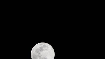 Moon Timelapse, Stock time lapse - Full moon rise in dark nature sky, night time. Full moon disk time lapse with moon light up in night dark black sky. High-quality free video footage or timelapse