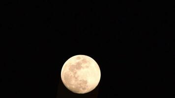 timelapse de la lune, laps de temps de stock - montée de la pleine lune dans le ciel sombre de la nature, la nuit. laps de temps de disque de pleine lune avec la lune s'allume dans le ciel noir de nuit. séquences vidéo gratuites de haute qualité ou timelapse video