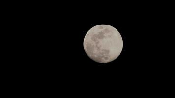 timelapse di luna, stock time lapse - luna piena sorge nel cielo di natura oscura, notte. lasso di tempo del disco di luna piena con la luna che si illumina nel cielo nero scuro di notte. riprese video o timelapse gratuiti di alta qualità