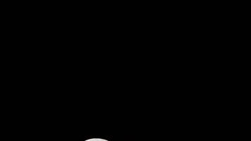 timelapse da lua, lapso de tempo de ações - ascensão da lua cheia no céu escuro da natureza, noite. lapso de tempo do disco da lua cheia com luz da lua no céu escuro à noite. imagens de vídeo gratuitas de alta qualidade ou timelapse video