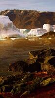 Antarctic icebergs near rocky beach video