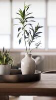 plante d'intérieur avec pot de fleurs blanc sur table en bois video