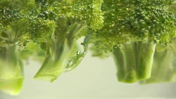 vers, groen broccoli in Doorzichtig water video