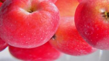 färsk, röd äpplen i klar vatten video