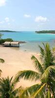 Tropical paradise island with white sandy beach, turquoise water, and palm trees video