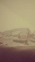 falaise rocheuse avec plage de sable dans un brouillard profond video