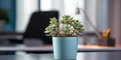 AI generated Potted Succulent on a Modern Office Desk with Small Succulents. Banner with place for text photo