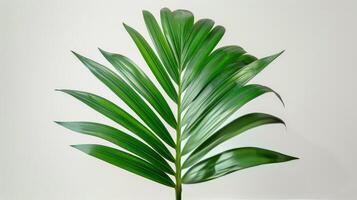 AI generated Large Green Leaf on White Table photo