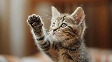 AI generated Small Kitten Walking Across Gravel Road photo