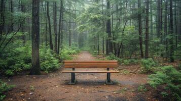 AI generated Wooden Bench in Forest photo