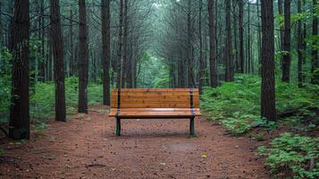 AI generated Wooden Bench in Forest photo