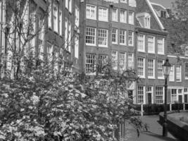 spring time in amsterdam photo