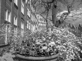 primavera hora en Amsterdam foto