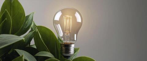 AI generated Realistic image of lightbulb and plant leaves to depict green energy and renewable energy source with copy space photo