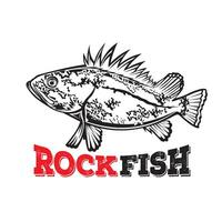 Rock fish vector illustration, perfect for fishing club logo and t shirt design