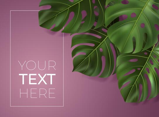 Vector poster with realistic green tropical leaves. Monstera leaf on pink background. Botanical illustration with copy space for your text. Template for banner, invitation card, ad, web design.
