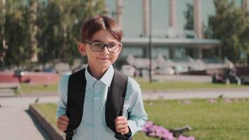 Online education, Back to school, Happy schoolboy, Learn lessons. Schoolboy with a backpack returns home from school video