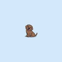 Cute chocolate brown labrador retriever puppy sitting cartoon, vector illustration