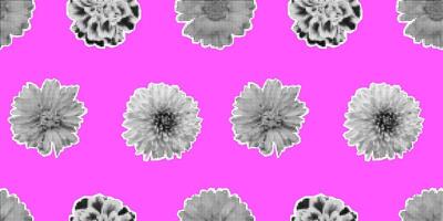 Vector seamless pattern with retro halftone flowers. Halftone collage floral print. Torn paper. Trendy pop art spring floral elements. Paper cutout flowers on pink background. Wrapping design.