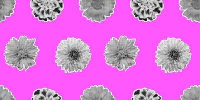 Vector seamless pattern with retro halftone flowers. Halftone collage floral print. Torn paper. Trendy pop art spring floral elements. Paper cutout flowers on pink background. Wrapping design.