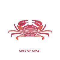 vector illustration guide Meat cuts set. crab Butcher Poster diagrams and schematics.