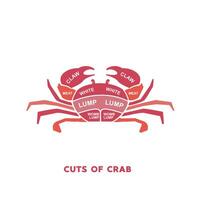 vector illustration guide Meat cuts set. crab Butcher Poster diagrams and schematics.